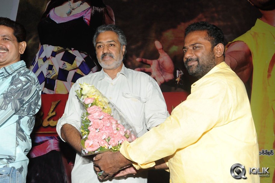 Aadu-Magadura-Bujji-Platinum-Disc-Function